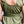 Load image into Gallery viewer, The Icon Maternity Dress - Moss