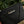Load image into Gallery viewer, The Perfect Coin Purse - Matt Black Leather